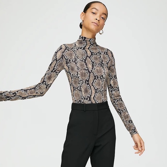 Aritzia Tops - Aritzia Larry Turtleneck